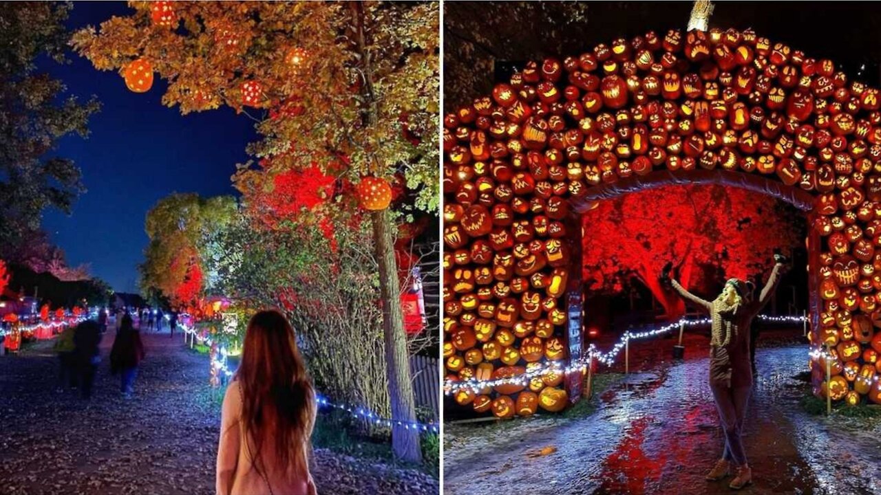 Ce village de citrouilles illuminées à 1h30 de Montréal est LA place où aller cet automne