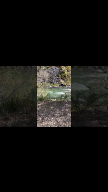 It’s what’s for dinner! #trout #browntrout #beef