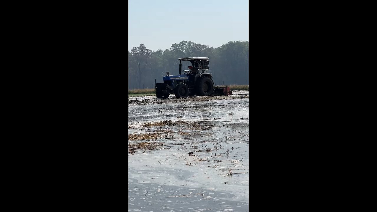 paddy time