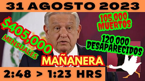 💩🐣👶 AMLITO | Mañanera *Jueves 31 de Agosto 2023* | El gansito veloz 2:48 a 1:23.