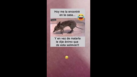 Animo a los animalitos