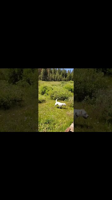 living his best life