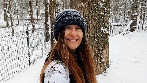 A walk in the snowy woods & wildlife drama!