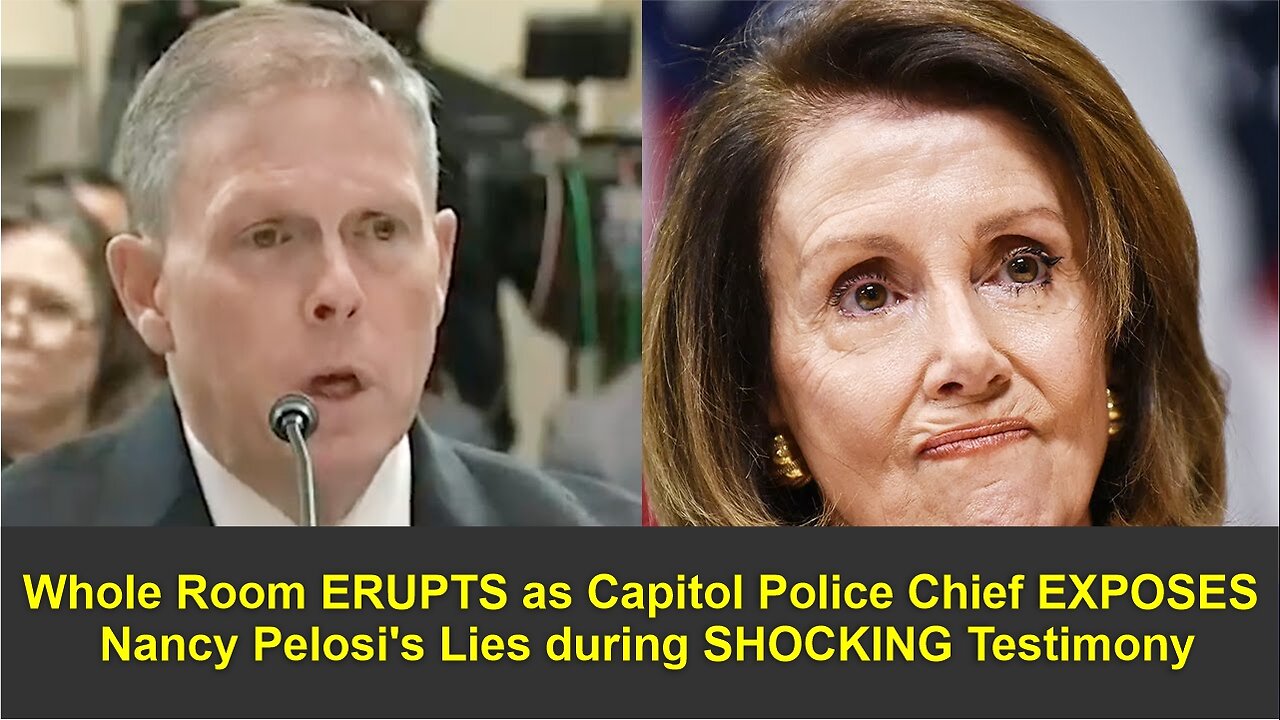 Whole Room ERUPTS as Capitol Police Chief EXPOSES Nancy Pelosi's Lies during SHOCKING Testimony