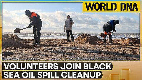 Russia Rushes To Clean Up Oil Spill Along Black Sea Coast | WION World DNA