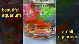 aquarium