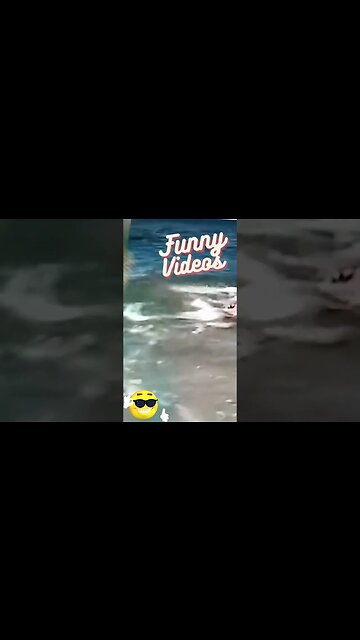 Funny videos #shorts