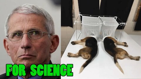 Fauci’s puppies agree with the ¨SCIENCE¨