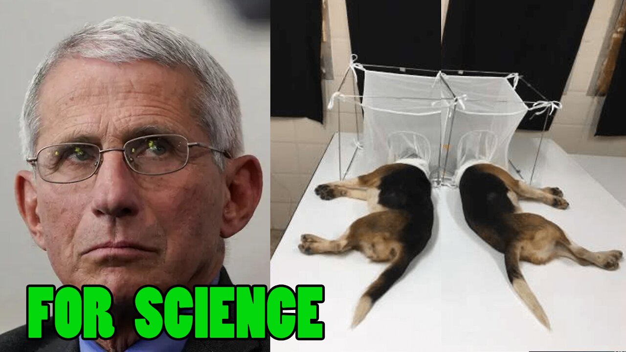 Fauci’s puppies agree with the ¨SCIENCE¨