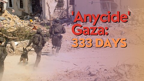 10 Minutes: 'Anycide' In Gaza: 333 Days