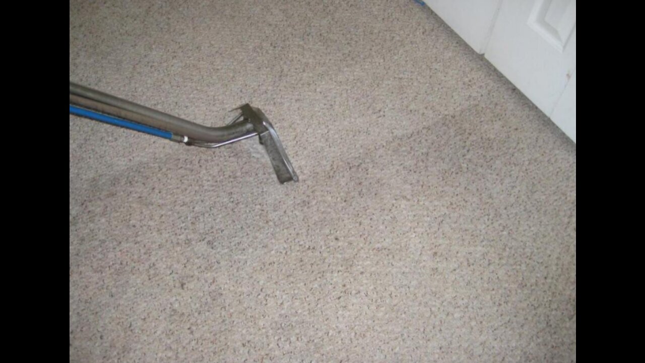 Steam Plus Carpet