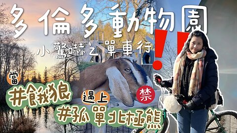 [vlog]多倫多動物園長這樣？難忘北極熊這樣做！萬里長征單車之旅！出發！