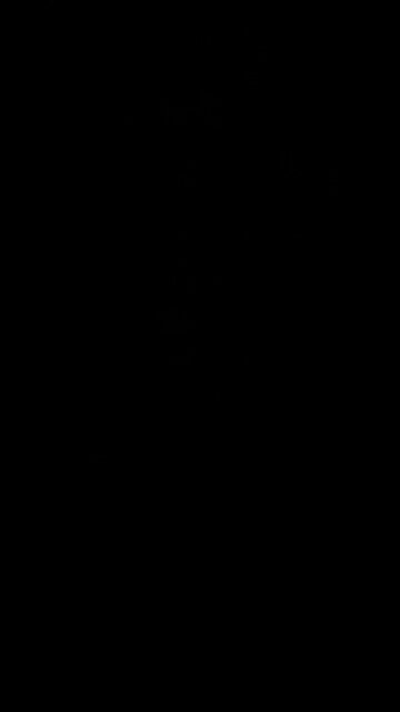 Albert Einstein Flying Pig mashup