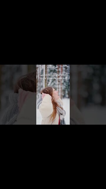 The strongest muscle in the body is the tongue.