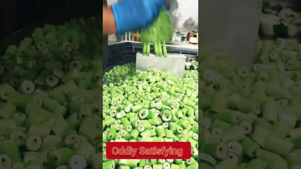 Best Oddly Satisfying Video for Stress Relief #Shorts #oddlysatisfying #relaxing #asmr(2)
