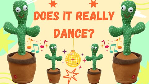 Dancing Cactus the Funniest Toy You’ve Ever Seen??