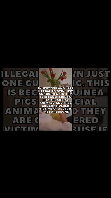 Incredible Random Facts That Will Expand Your Mind! [2023] #shorts #facts #viralshorts #fyp #life