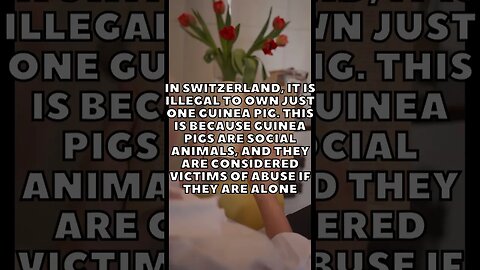 Incredible Random Facts That Will Expand Your Mind! [2023] #shorts #facts #viralshorts #fyp #life