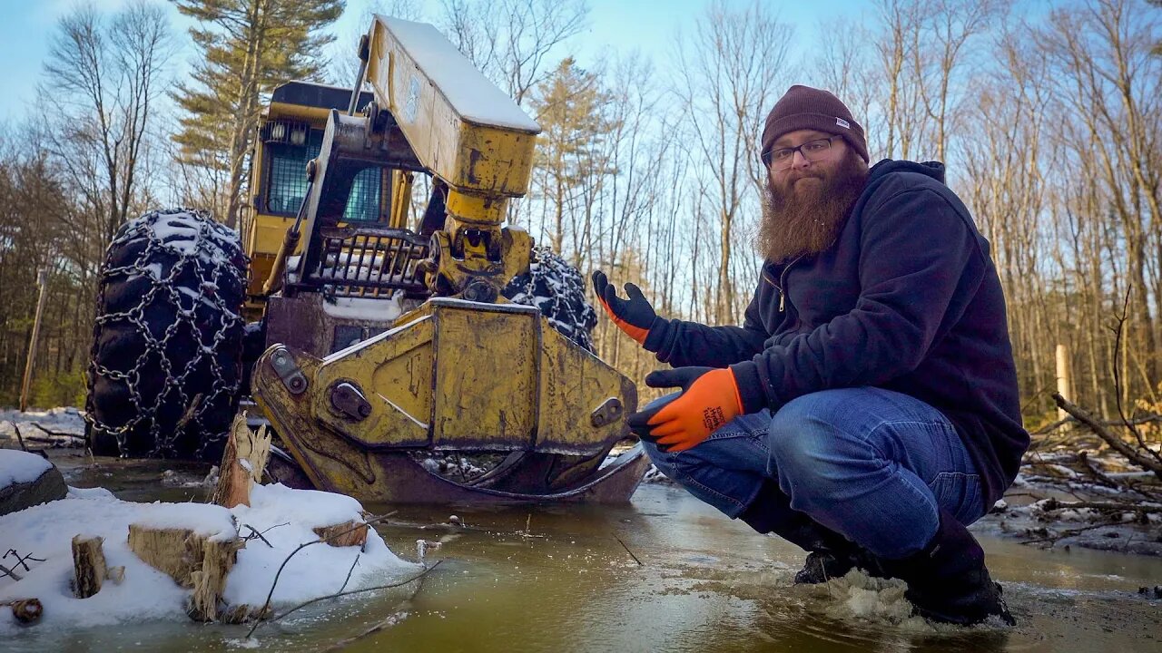 Was Logging This Now Flooded Land A Huge Mistake?