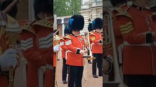 Irish guards Buckingham Palace music band #horseguardsparade