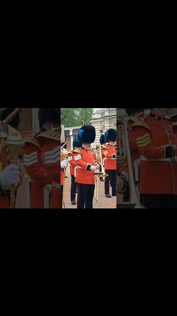 Irish guards Buckingham Palace music band #horseguardsparade