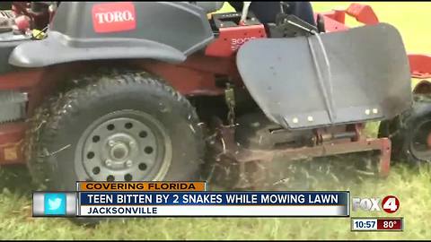 Teenager bitten by snake while mowing lane