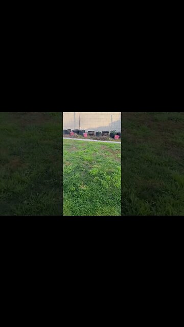 Is it crazy I’m excited it’s 38 degrees this morning 🤪 Dream on❤️‍🔥