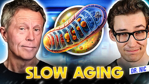 Dr. Nic (Physionic): How to Improve Mitochondrial Health For Longevity