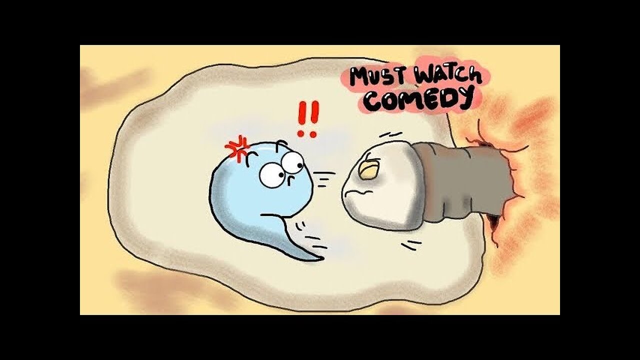 Best Animated Cartoon Compilation | Entertainment Videos