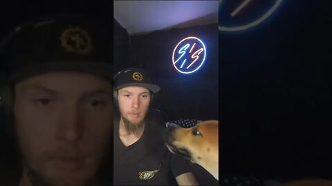 This Dog Is An Addict!