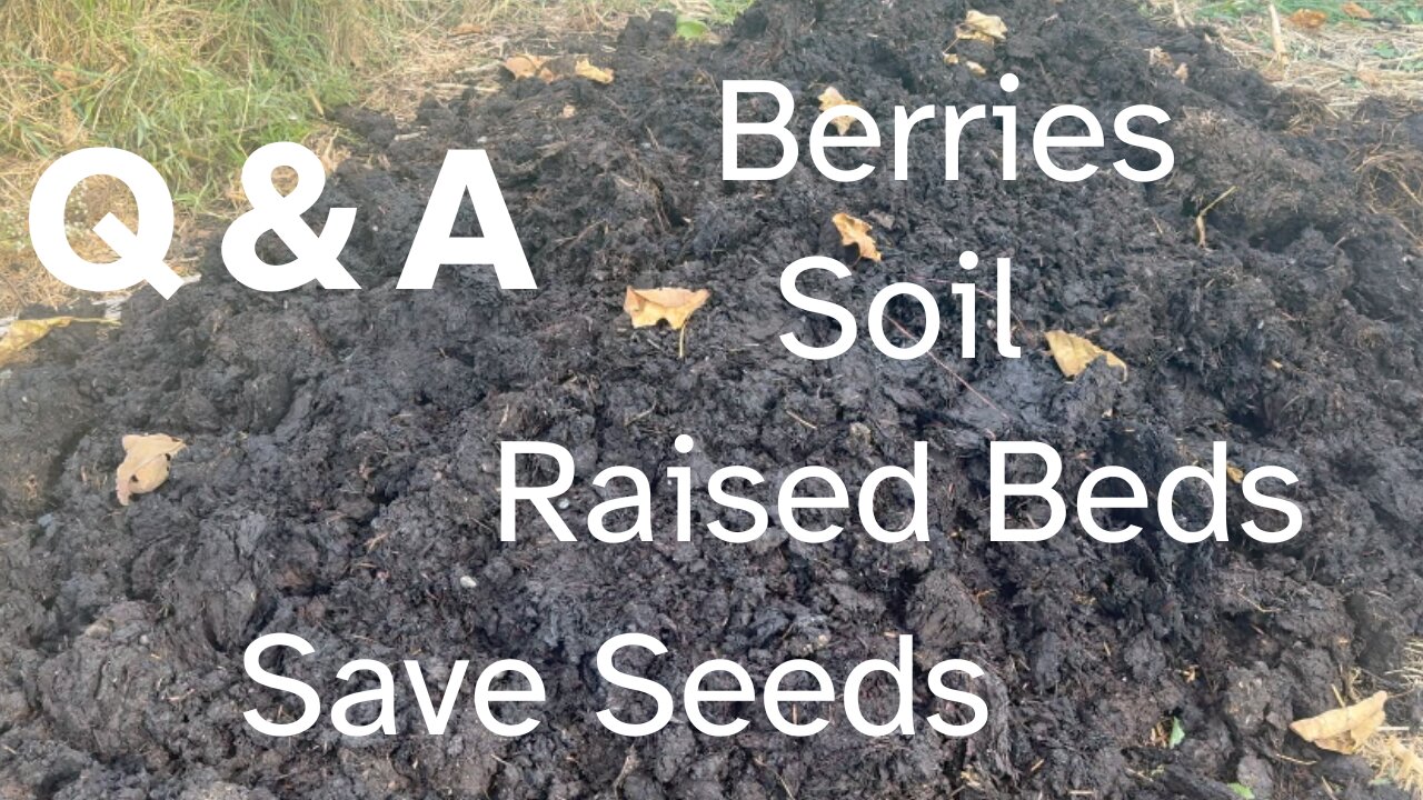 Q & A: Soil, Raised Beds, Berries, Saving Seeds