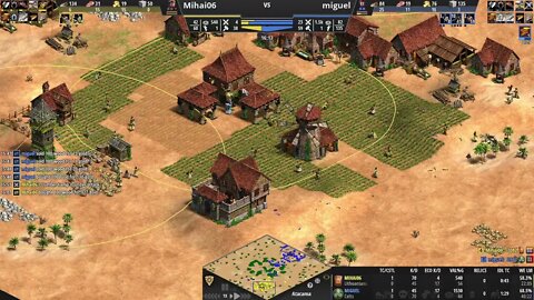 miguel goes full feudal vs Mihai06 on Atacama: Age of Empires 2