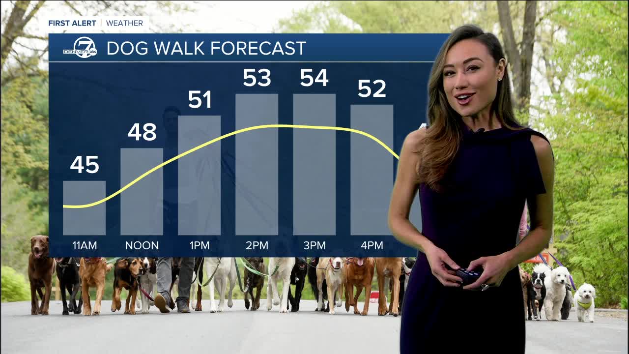 Saturday's Forecast: Sunny and Milder across Colorado