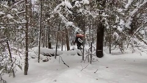 1 ##### One man's survival in the wild Blizzard outdoor learning these days are good