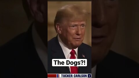Trump Said They Left the Dogs In Afghanistan 🤦🏻‍♂️ #USA