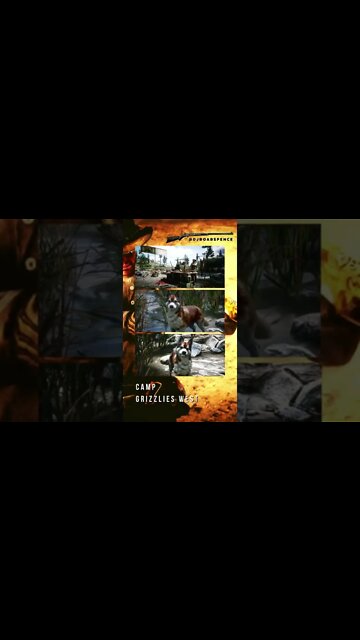 CAMP - GRIZZLIES WEST - #reddeadonline #rdr2online