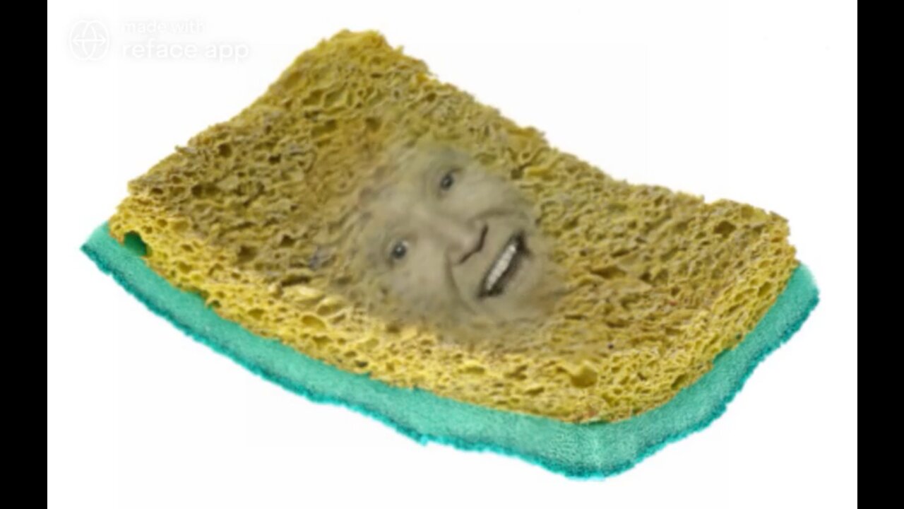 The Ultimate Joe Biden Sponge Meme! 🧽