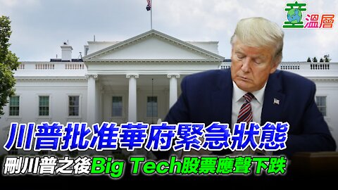 川普批准華府緊急狀態，刪川普之後Big Tech股票應聲下跌！｜童溫層2021.01.12