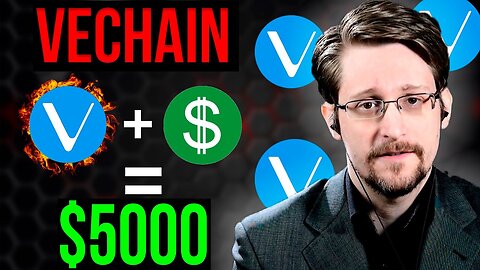 Edward Snowden LEAK 22 December - Vechain Will Hit $5000! | Vechain Price Prediction