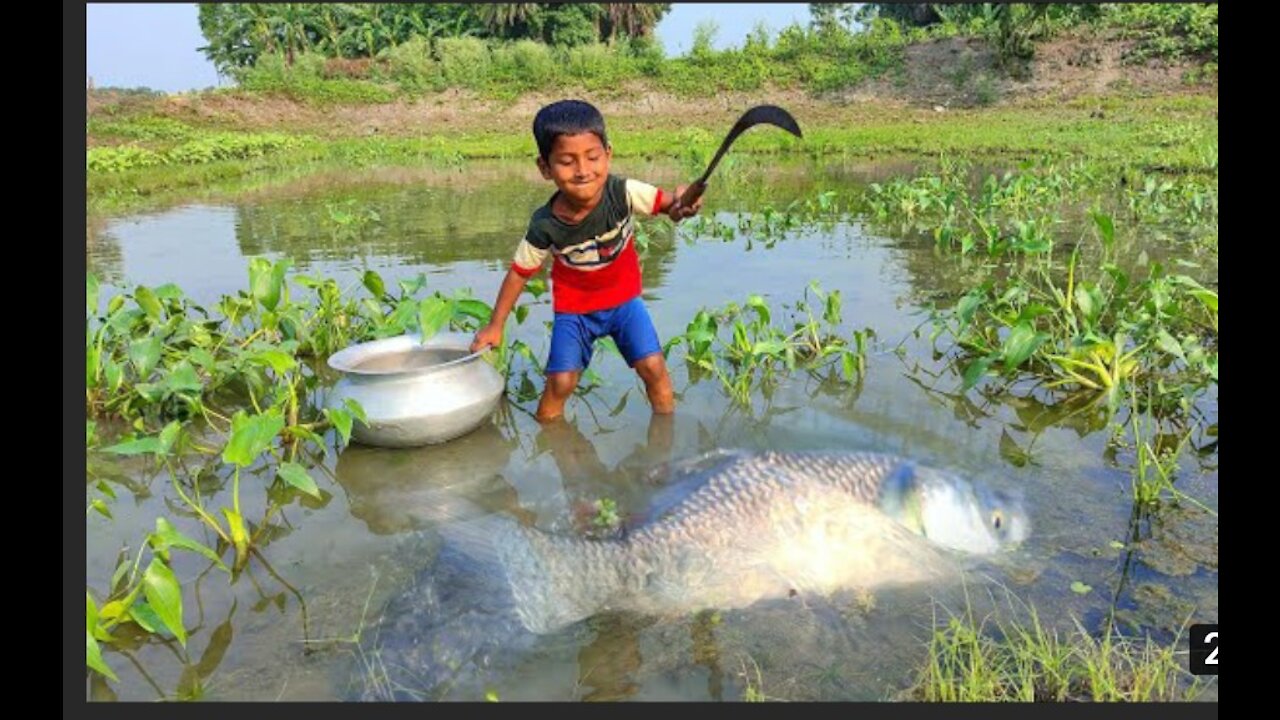 Really Amazing Fishing Video | Traditional Boy Catching Fish By Hand in Pond Water 2021