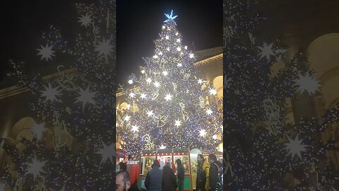 TBILISI GEORGIA CHRISTMASS TREE