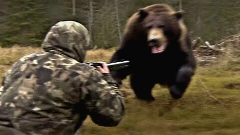 When Hunters Mess With The WRONG Animals...