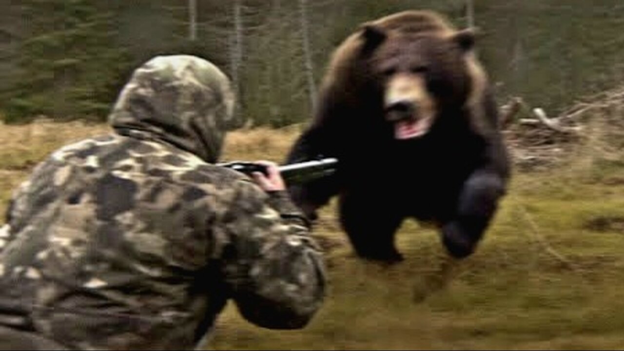 When Hunters Mess With The WRONG Animals...