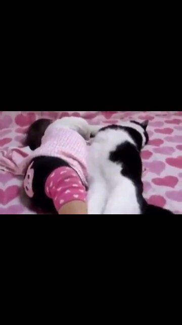 Cute Baby And Cute Cat Sleep In Enjoy Home