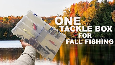 ONE TACKLE BOX FOR FALL BASS FISHING???