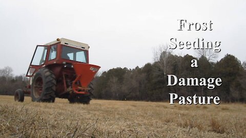 Frost Seeding a Damaged Pasture