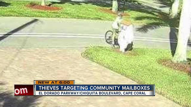 Bicyclists caught on camera opening mailboxes