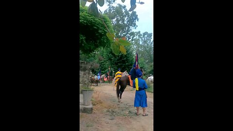 Nihang Singh On Horse