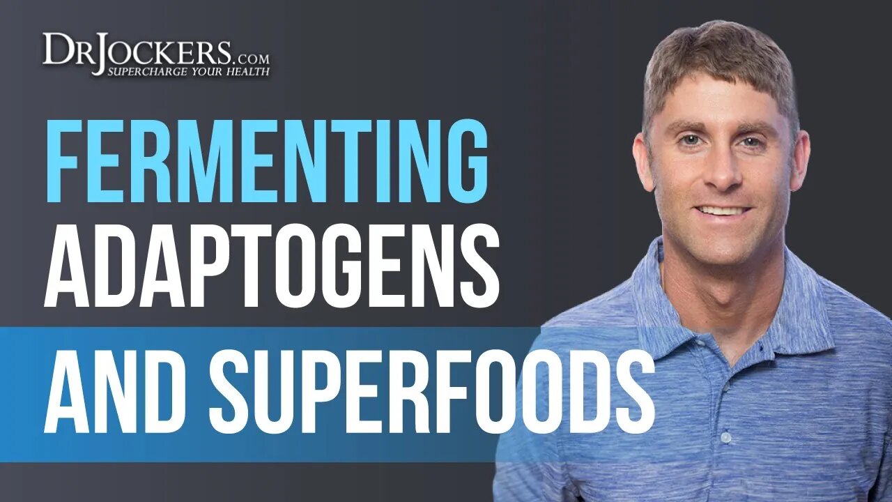 Fermenting Adaptogens & Superfoods For Healthier Hard Beverages