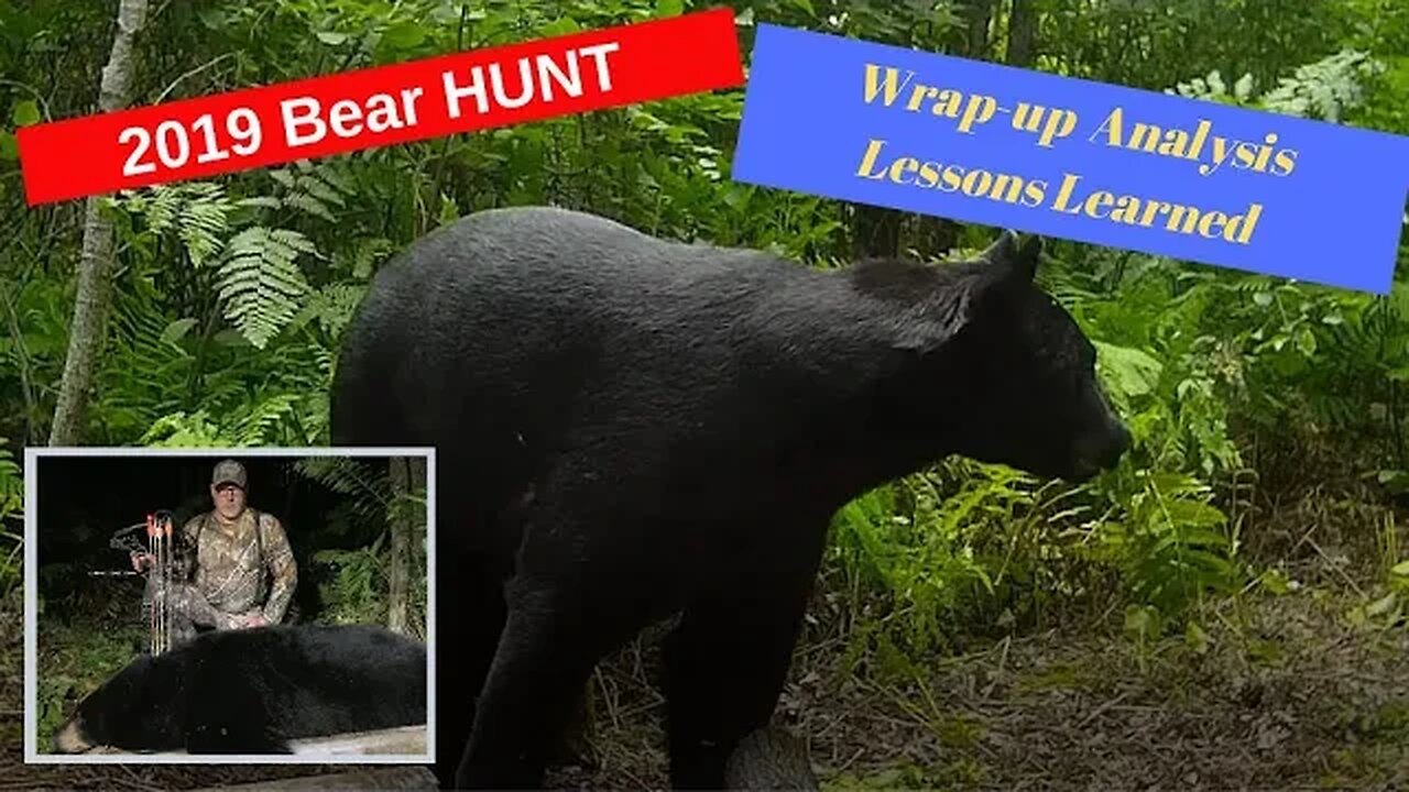 Lessons Learned from the 2019 Minnesota bear hunt